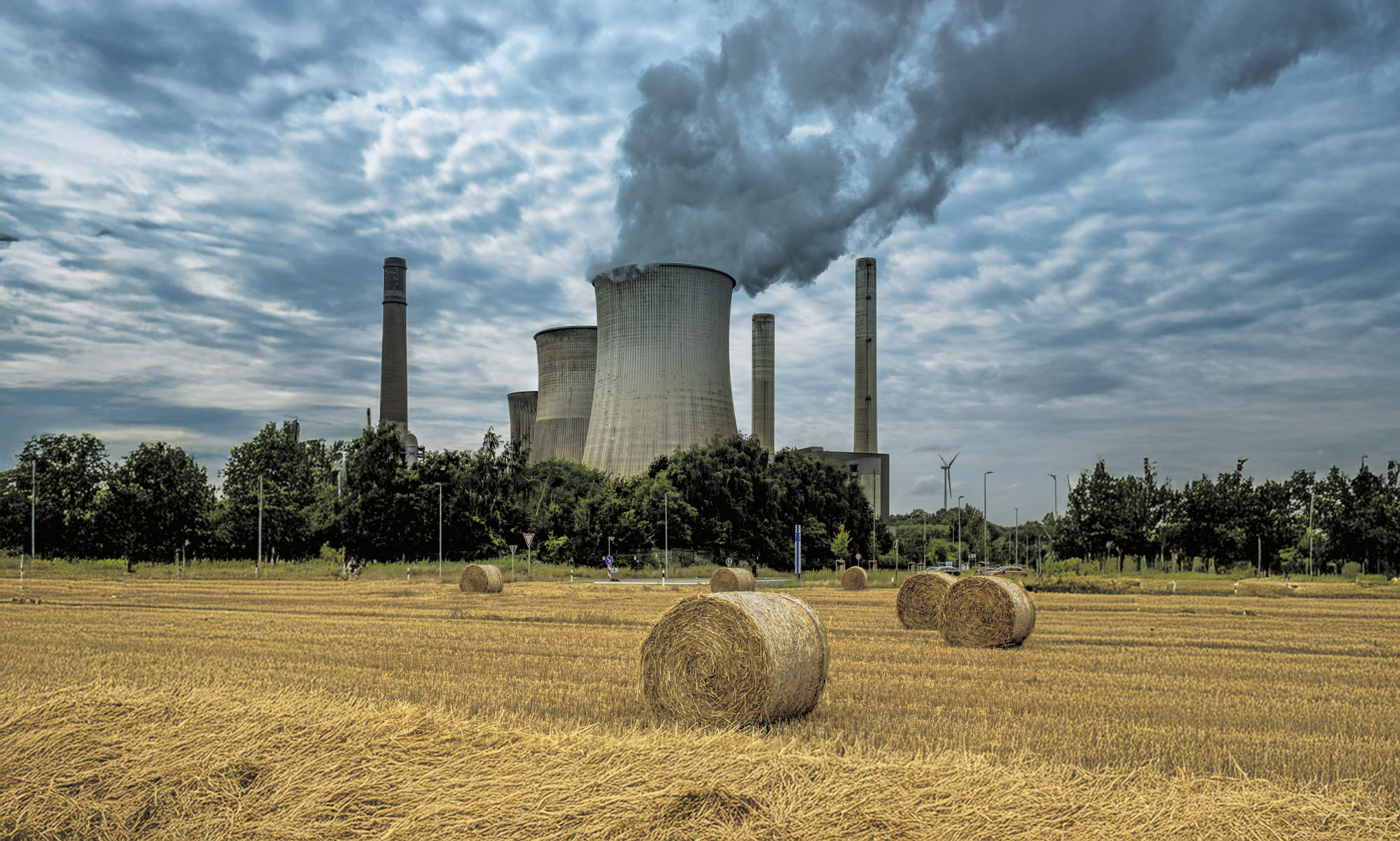 Quo Vadis Energetyko - Biznes i ekologia